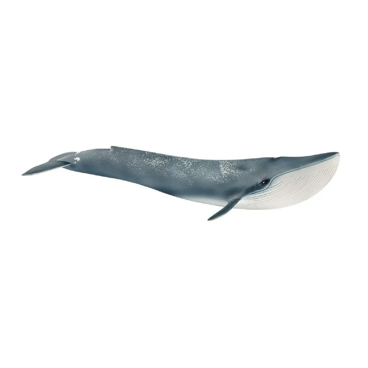 Schleich Blue Whale (14806)