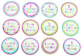 Mud Pie Milestone Stickers Girl