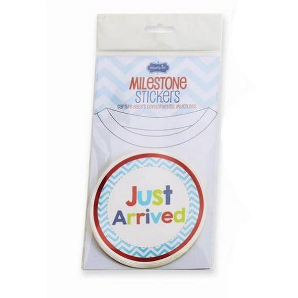 Mud Pie Milestone Stickers Boy