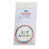 Mud Pie Milestone Stickers Boy
