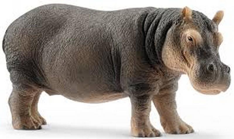 Schleich Hippopotamus (14814)