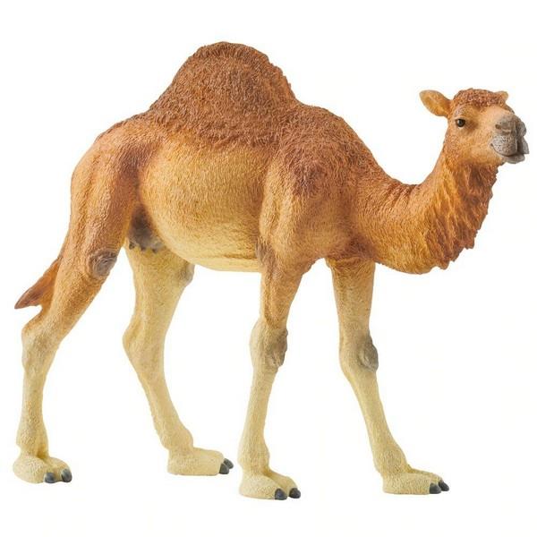 Schleich Dromedary (14832)
