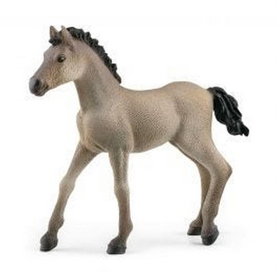Schleich Criollo Definitivo Foal (13949)