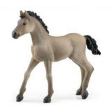 Schleich Criollo Definitivo Foal (13949)