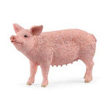 Schleich Pig (13933)