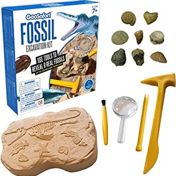 Geosafari Fossil Excavation Kit