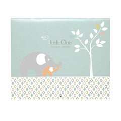 Baby's First Year Calendar