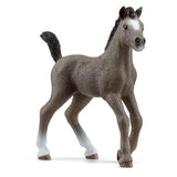 Schleich Cheval De Selle Francais Foal (13957)