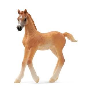 Schleich Arabian Foal (13984)