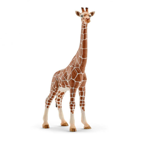 Schleich Giraffe Female (14750)