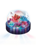 4M Crystal Growing Light Up Display
