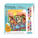 Bright Stripes Paint By Number Wild Horses
