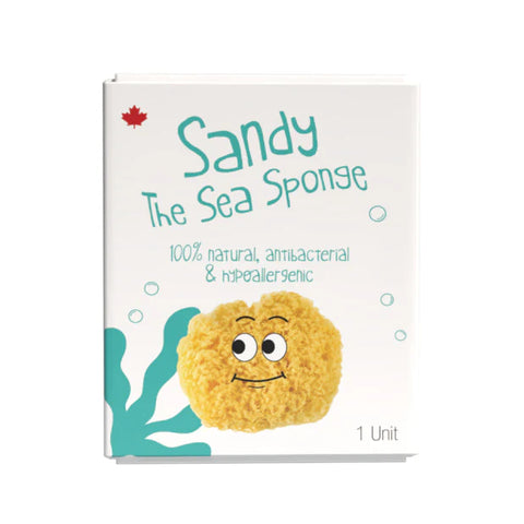 Loot Sandy Sea Sponge