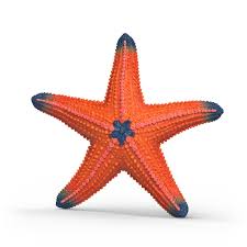 Schleich Starfish Colour Change (14902)