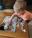 Cobble Hill Tray Puzzle Baryard Greetings