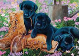 Cobble Hill Tray Puzzle Black Lab Puppies