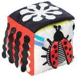 Wimmer Discovery Cube