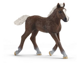 Schleich Black Forest Foal (13899)