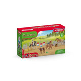 Schleich Rodeo Show (42679)