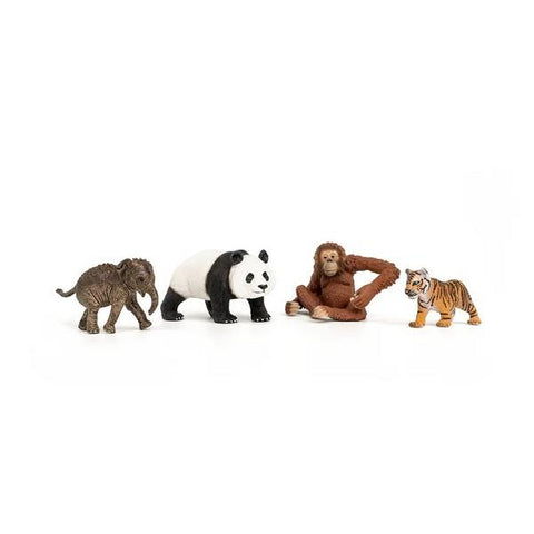 Schleich Wild Life Asia Starter Set (42736)