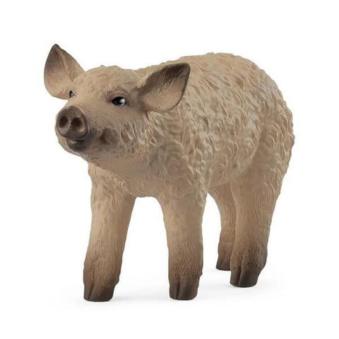 Schleich Mangalica Piglet (14893)