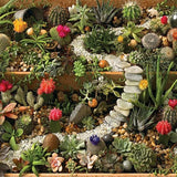 Cobble Hill 1000 Piece Puzzle Succulent Garden | Bumble Tree
