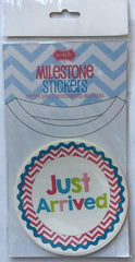 Mud Pie Milestone Stickers Girl