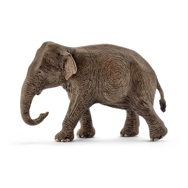Schleich Asian Elephant Female (14753) | Bumble Tree