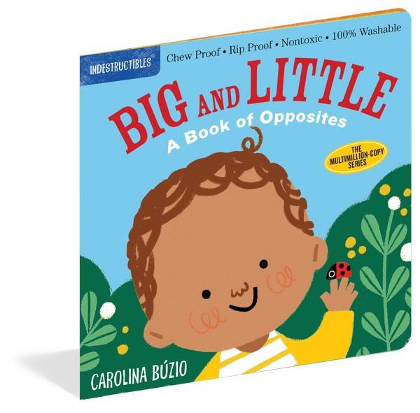 Indestructibles Book Big and Little
