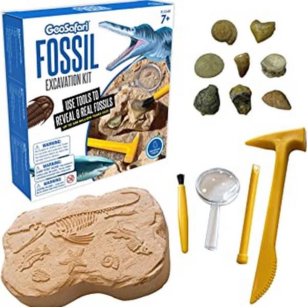 Geosafari Fossil Excavation Kit | Bumble Tree