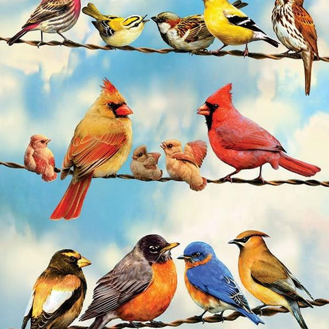 Cobble Hill 500 Piece Puzzle Birds on a Wire