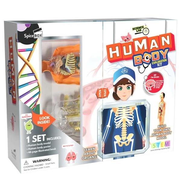 Spice Box Human Body Exploration Kit | Bumble Tree